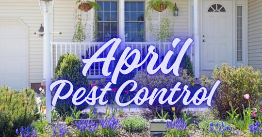 April Pest Control