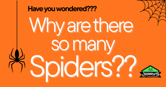 So Many Spiders