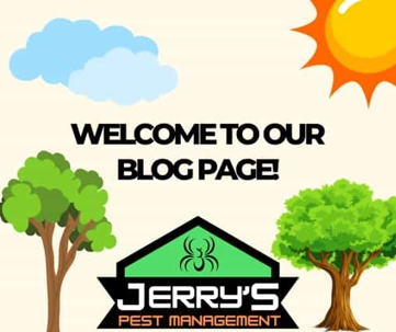 Welcome to Our Blog Page