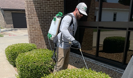 Commercial Pest Control